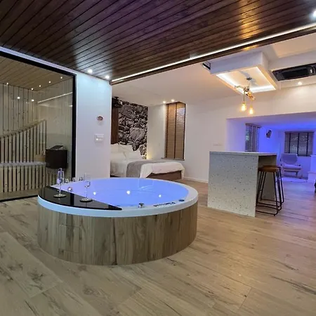 Le Zen - Sauna - Balneo - Sparoom 萨尔格米纳