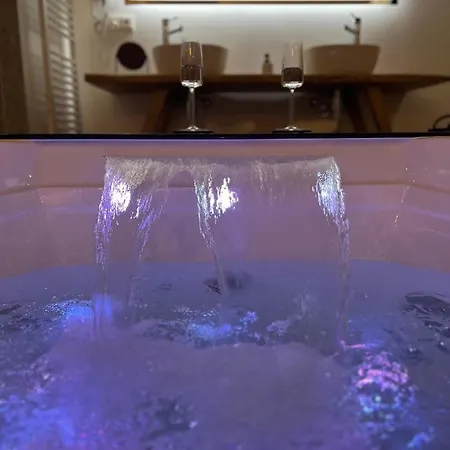 Le Zen - Sauna - Balneo - Sparoom * 萨尔格米纳